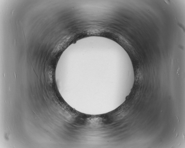 X0000101670452200807311501