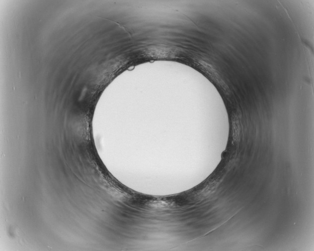 X0000101670453200807311501