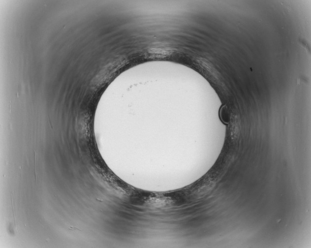 X0000101670455200807311501