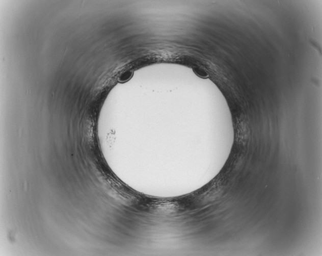 X0000101670456200807311501