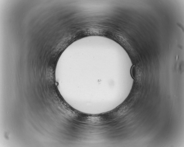 X0000101670457200807311501