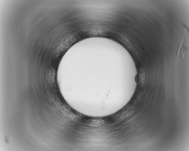 X0000101670458200807311501