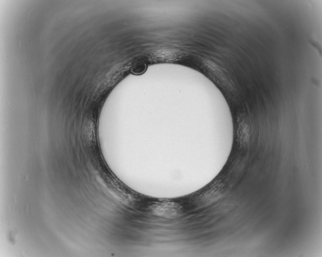 X0000101670459200807311501