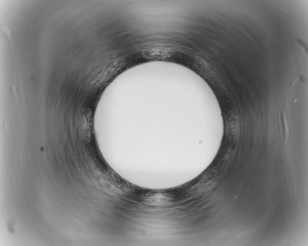X0000101670460200807311501
