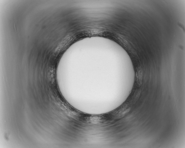 X0000101670462200807311501