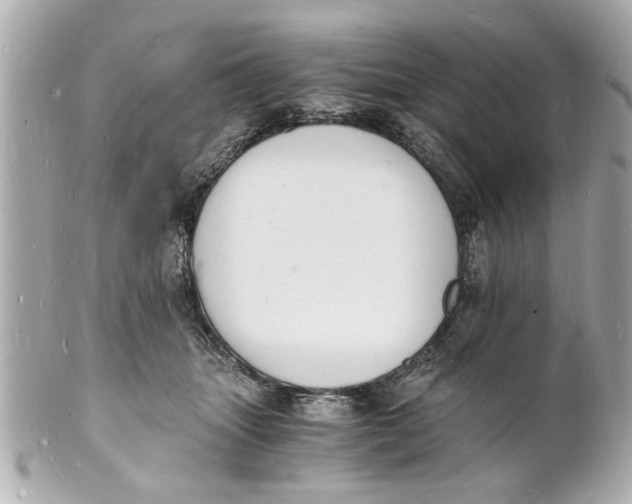 X0000101670463200807311501