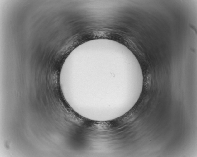 X0000101670466200807311501