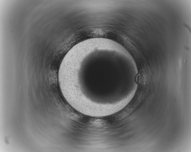 X0000101670467200807311501