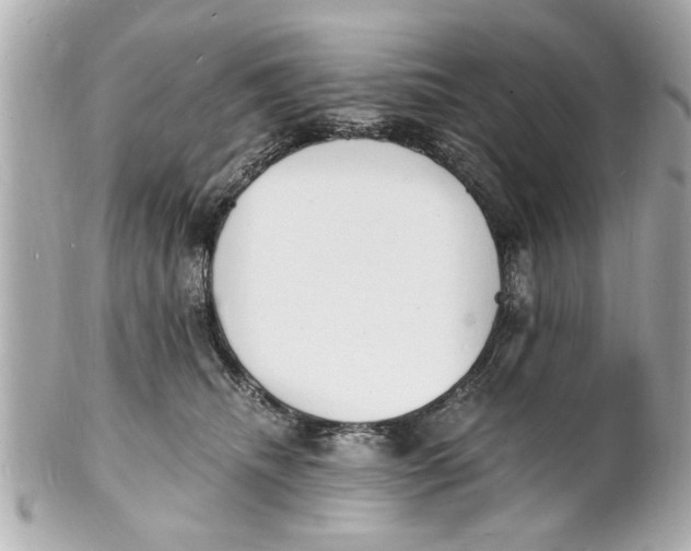 X0000101670468200807311501