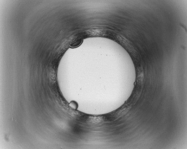 X0000101670469200807311501