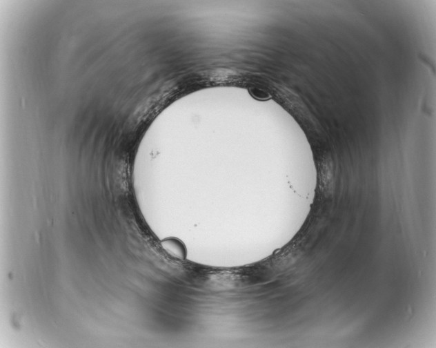 X0000101670470200807311501