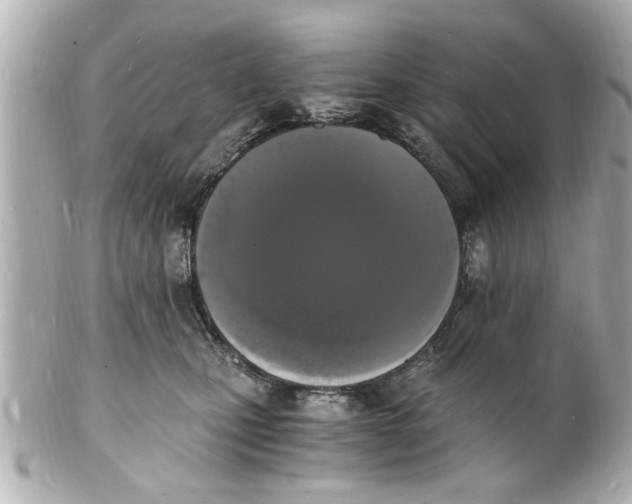 X0000101670471200807311501