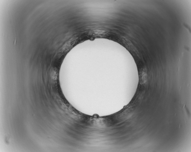 X0000101670472200807311501