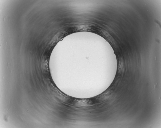 X0000101670473200807311501