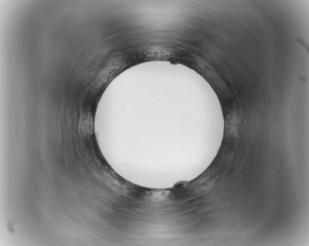 X0000101670474200807311501