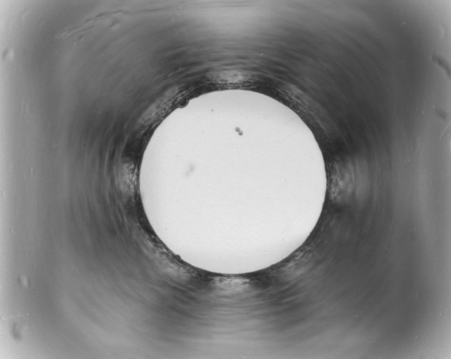 X0000101670476200807311501
