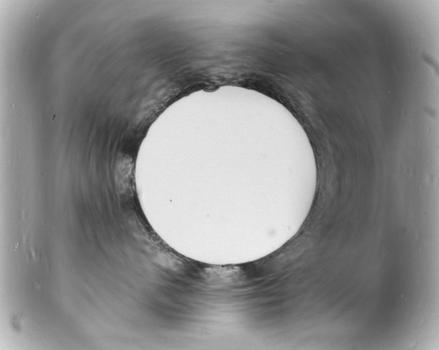X0000101670480200807311501