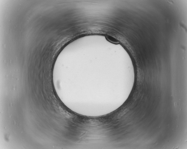 X0000101670481200807311500