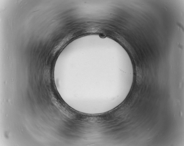 X0000101670482200807311500