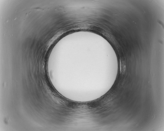 X0000101670483200807311500