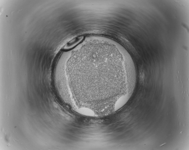 X0000101670484200807311500
