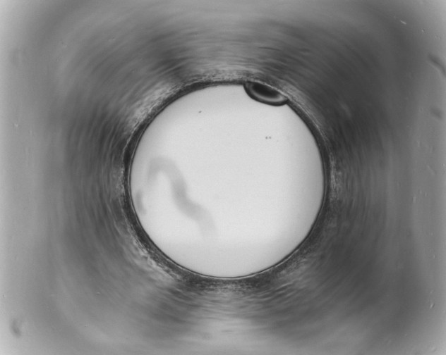 X0000101670485200807311500