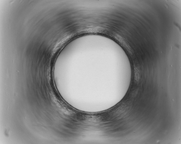 X0000101670486200807311500