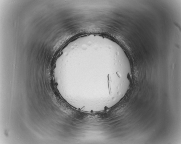 X0000101670487200807311500