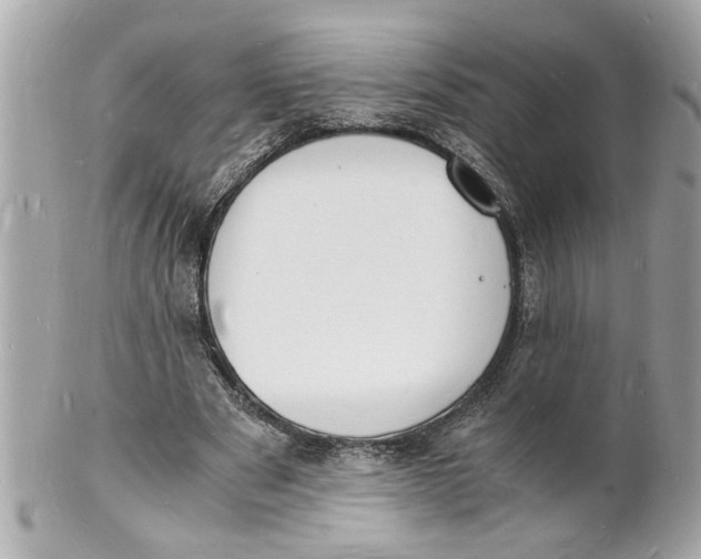 X0000101670489200807311500
