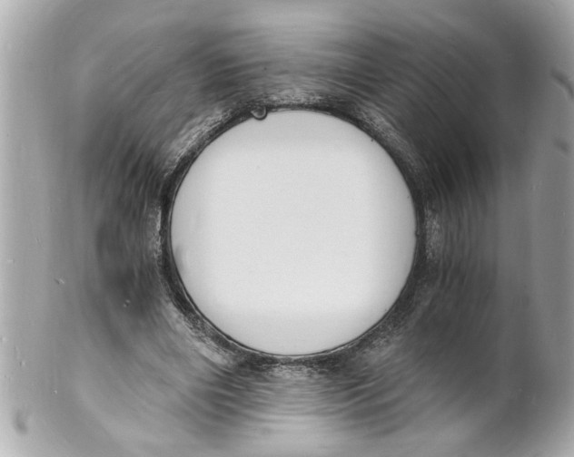 X0000101670490200807311500
