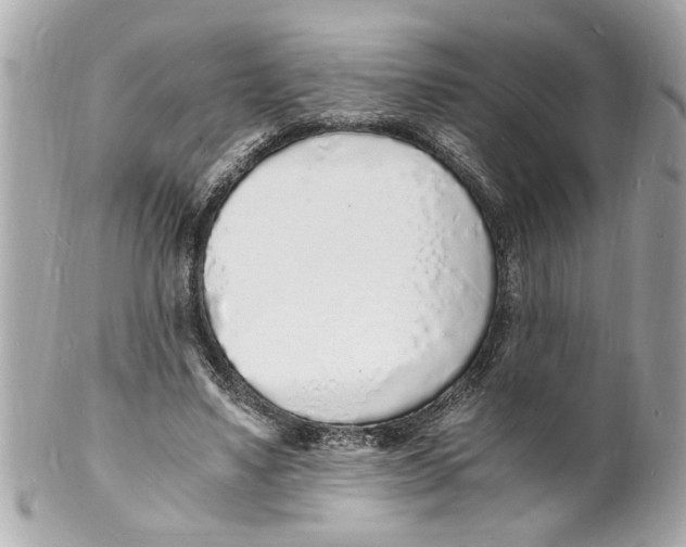 X0000101670491200807311500