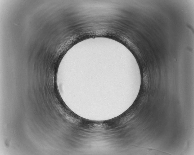 X0000101670493200807311500
