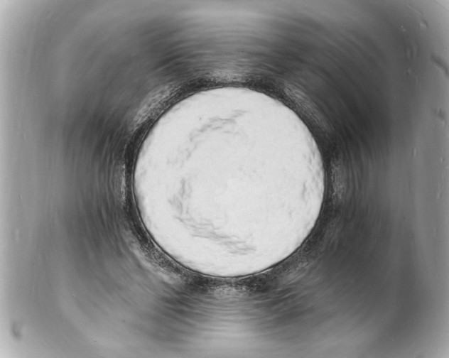 X0000101670494200807311500