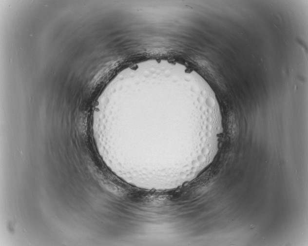 X0000101670495200807311500
