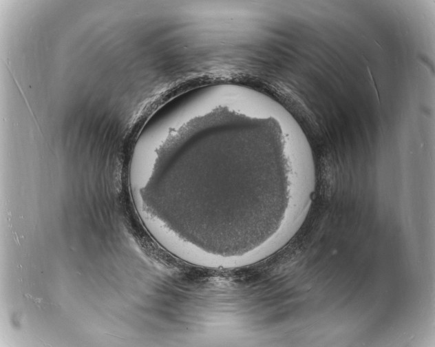 X0000101670496200807311500