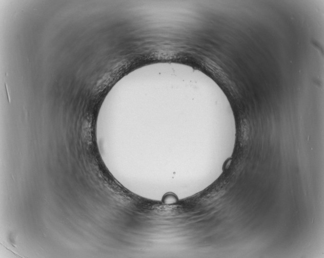 X0000101670497200807311500
