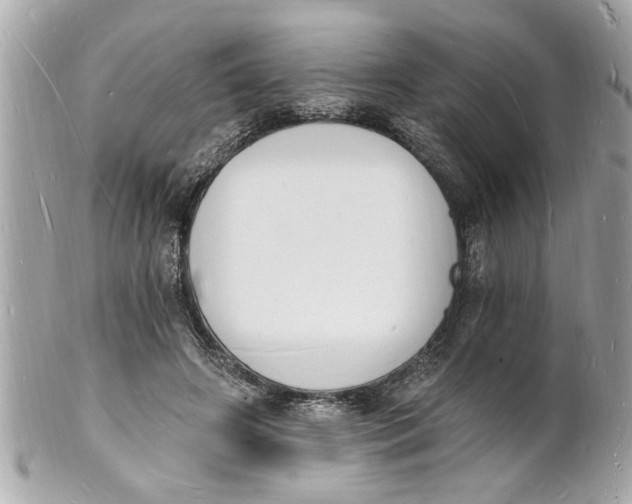 X0000101670498200807311500