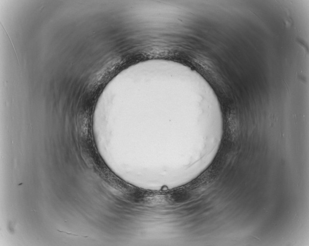 X0000101670499200807311500