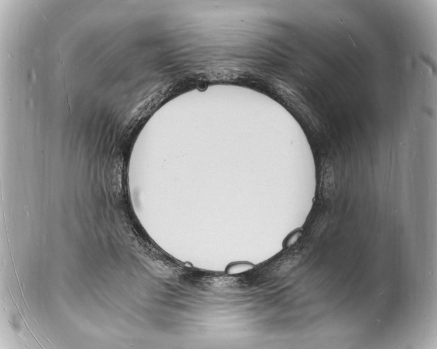 X0000101670501200807311500