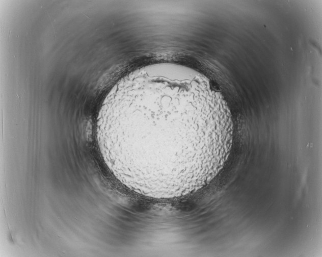X0000101670502200807311500
