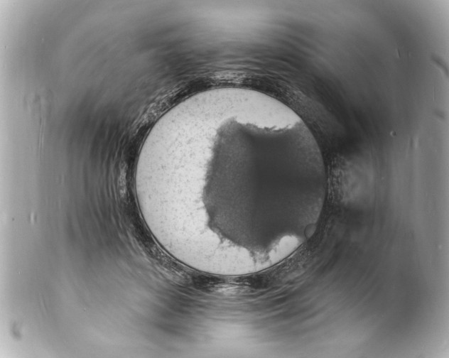 X0000101670504200807311500