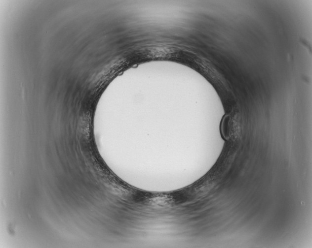 X0000101670505200807311500