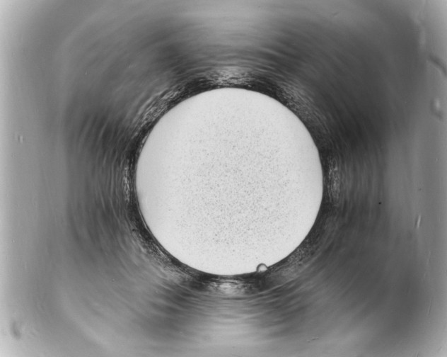 X0000101670506200807311500