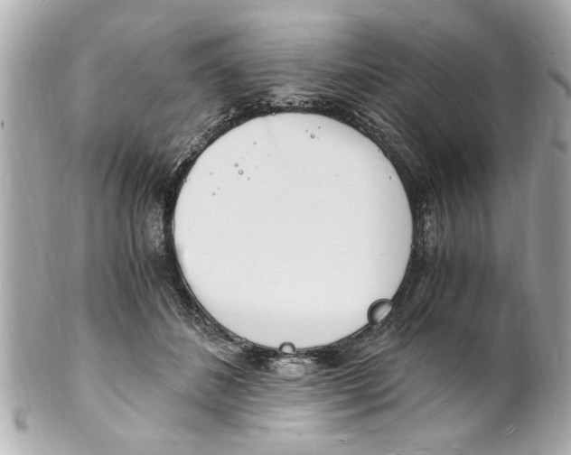 X0000101670508200807311500