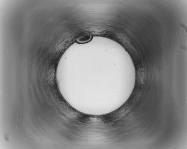 X0000101670509200807311500