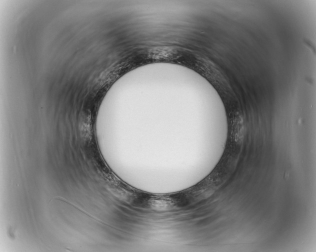 X0000101670510200807311500