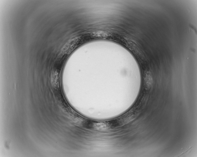 X0000101670511200807311500