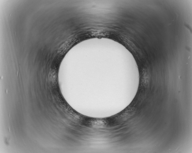 X0000101670513200807311500