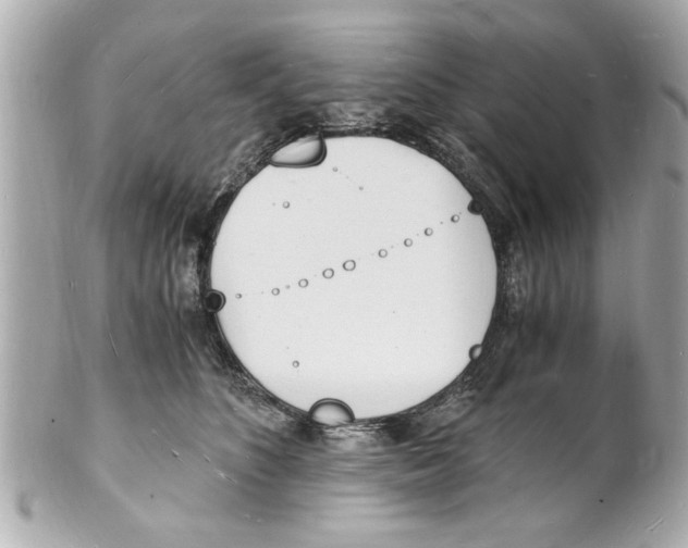 X0000101670516200807311500