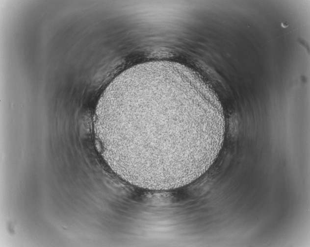 X0000101670517200807311500